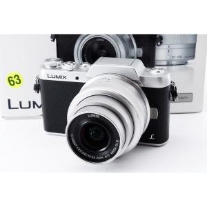 LUMIX パナソニック Panasonic ルミックス DC-GF9 12-32mm 25mm ダブル