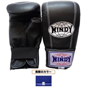 WINDY ウィンディ プロファイティンググローブ 総合格闘技用 ／ペア 青