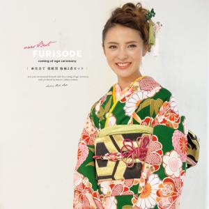 振袖 セット 未仕立て 仮絵羽 黄 イエロー 菊 梅 竹笹 花 正絹 西陣織