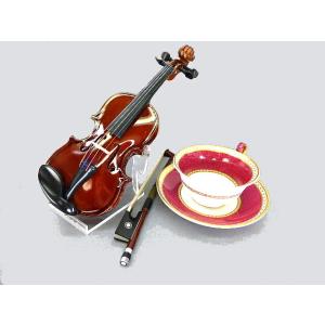 オイドクサ ADG set(4/4) ピラストロ社バイオリン弦 PIRASTRO Eudoxa