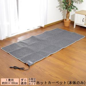 Panasonic（パナソニック） 着せ替えカーペット セットタイプ【DC