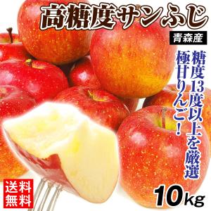 りんご 10kg 糖度13度以上 高糖度サンふじ センサー選別 甘い 青森産