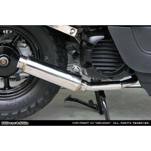 WirusWin ボックス VOX(JBH-SA31J)用 テイストマフラー