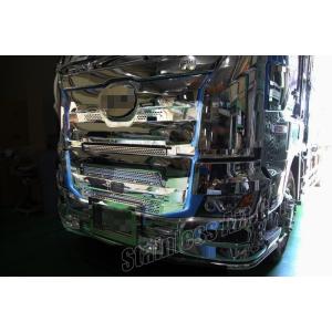 リニューアル♪両面ウロコ仕様！丸棒8mm付き☆日野 新型 17プロフィア