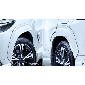 MODELLISTA カラードフェンダー ※プラチナホワイトパールマイカ