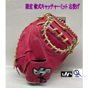 ハタケヤマ（HATAKEYAMA） キャッチャーミット オーダー 軟式 NC 2024