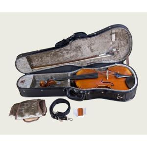 カルロジョルダーノ ビオラセット VL-2 15.5