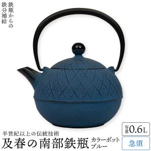 岩鋳（IWACHU） 南部鉄器 鉄瓶兼用 新急須 5型新亀甲 岩鋳製 日本製