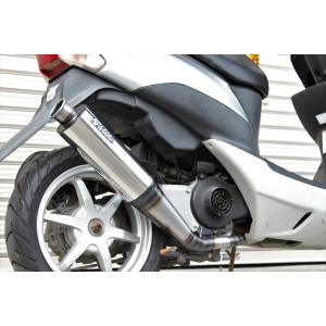 CHAMELEON FACTORY（カメレオンファクトリー） パラライザーIII