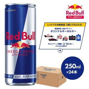 レッドブル（RedBull） エナジードリンク 缶 250ml 48本 24本入 2