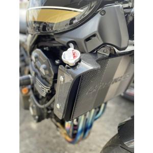STRIKER（ストライカー） ラジエター サイドシュラウド Z900RS 平織