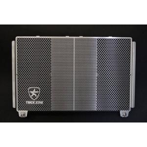 TRICK STAR（トリックスター） ラジエーターコアガード EVA Racing