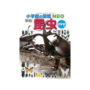 小学館の図鑑 NEO〔新版〕 昆虫 DVDつき : 三省堂書店 Yahoo