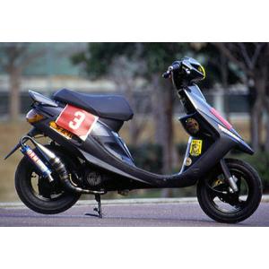 SPI（スペシャル・パーツ・イハラ） VIPER(エキサイティングチャンバー