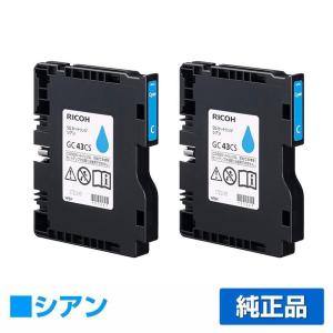 IPSiO リコー RICOH SGカートリッジ GC43/SG廃インクボックスIC41 4色