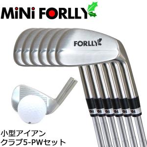 フジクラシャフト ボールを打てるスイング練習アイアン 新品ヘッドに