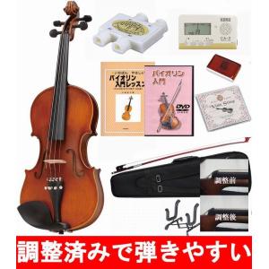 Eastman イーストマン バイオリン VL100 1/8セット : 大谷楽器 - 通販