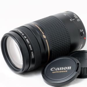 キヤノン（Canon） Canon EF 75-300mm f/4-5.6 III 美品 EFマウント