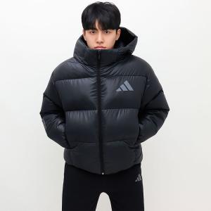 adidas（アディダス） ダウンジャケット メンズ M TERREX MT GD