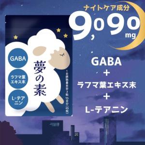 公式ショップ 正規品 7袋セット ボディマスター BODYMASTER HMB NMN