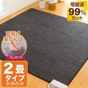 ゼンケン ホットカーペット 2畳タイプ本体のみ ZCB-20S 電磁波99