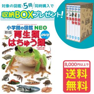 小学館の図鑑NEO［新版］魚 DVDつき（収納BOX付・送料無料・条件有