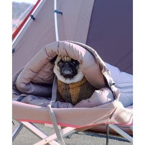 snow peak（スノーピーク） ドッグコット PT-042 アウトドア