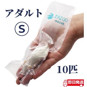 ZAZOO 国産 冷凍マウス ホッパー マウス 10〜15g 約6.5cm 真空 個別