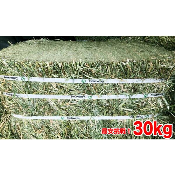 牧草 チモシー ダブルプレス 約30kg 1番刈り(アメリカ産) 令和7年産