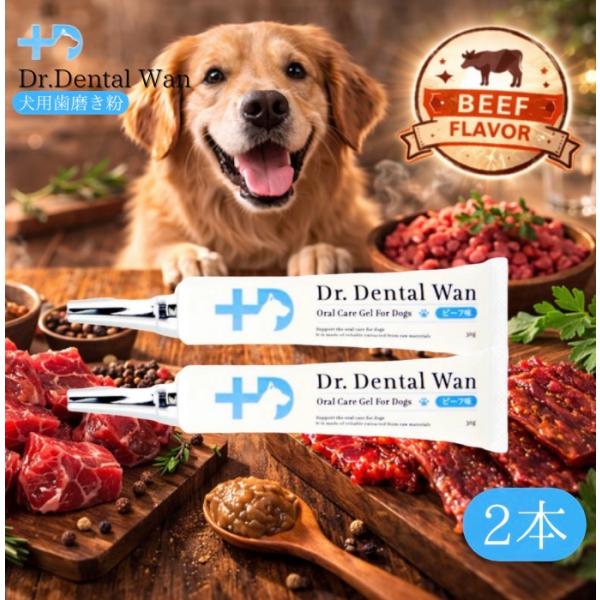 ドクターデンタルワン 30g ビーフ味 犬 歯磨き 2本 ジェル 口 わん