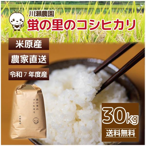 コシヒカリ 【コシヒカリ 毎月30個限定】30kg(10kg×3) 令和7年産 1等