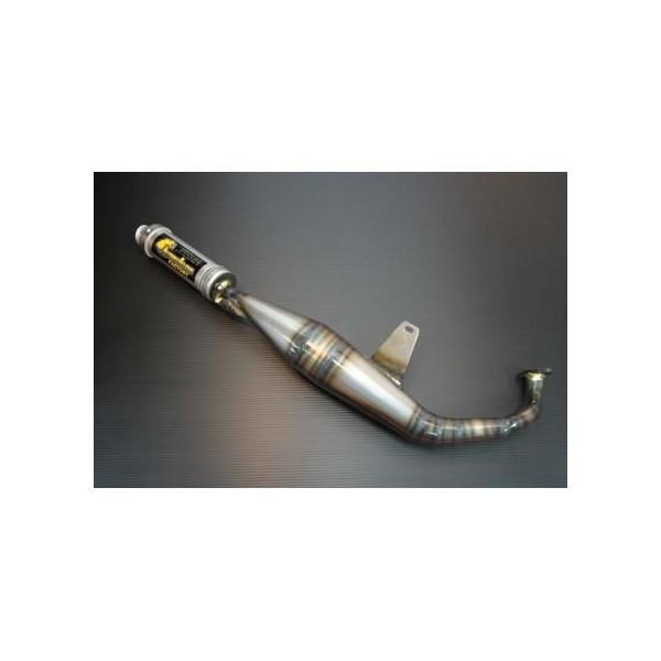 アプリオ（APRIO）/タイプ2 パラライザー3チャンバー chameleon