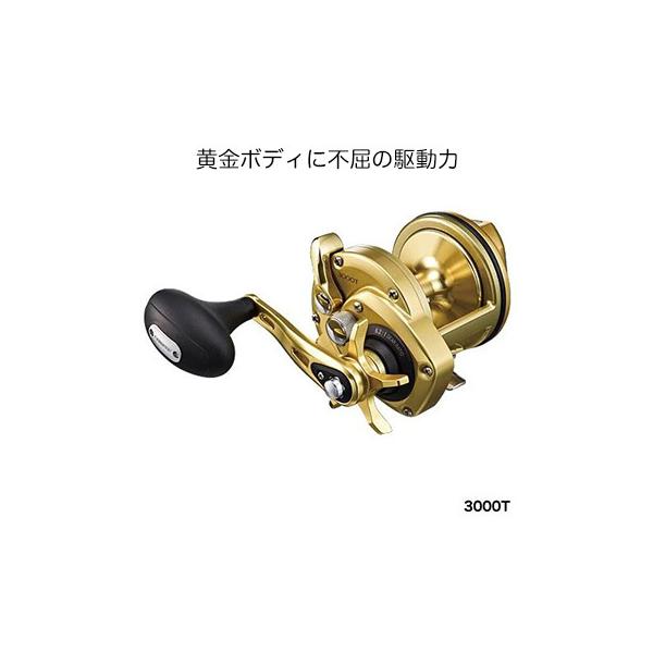 シマノ（SHIMANO） リール 15 海魂 カイコン 3000T 4969363033574 石鯛