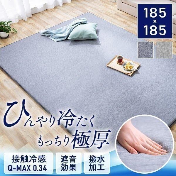 IRIS OHYAMA（アイリスオーヤマ） ラグ 厚手 北欧 ラグマット 夏