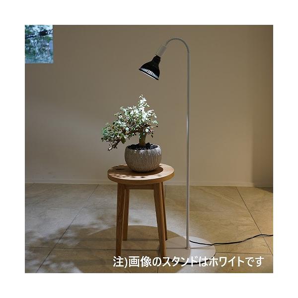 BARREL(バレル) 専用ライトスタンド BA-ST184-BK フレキシブルアーム