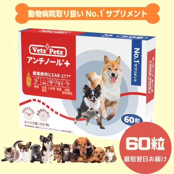lifemall_dog-plus60
