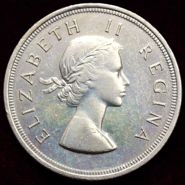 南アフリカ 1953年 5シリング 大型銀貨 エリザベス : エルズ