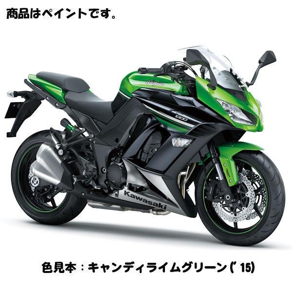 カワサキ（Kawasaki） (在庫あり) Kawasaki純正 J5012-0002-51P タッチ