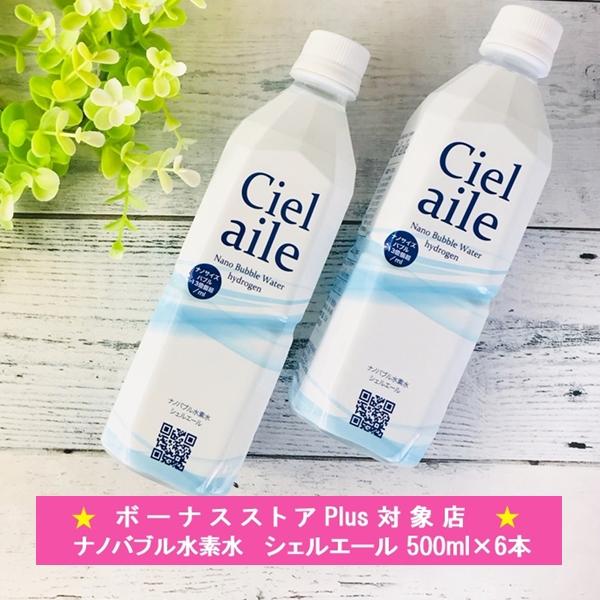 水 水素水 500ml 6本入 ナノバブル 国内 ミネラルウォーター シェル