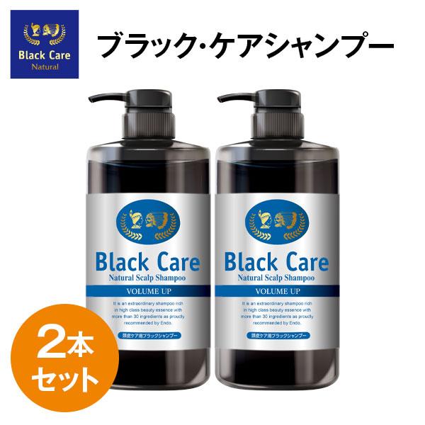 Black Care ブラックケアシャンプー 600ml 2本セット ヘアケア 美容液