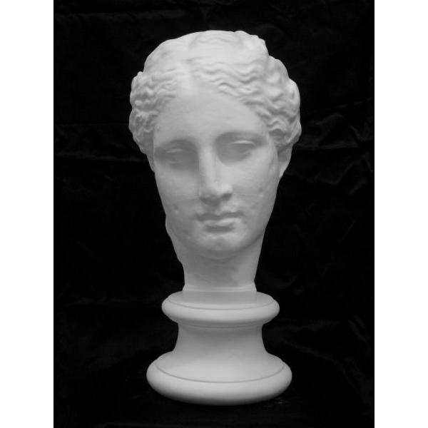 S−204 古代ヴィーナス首像（アバタのヴィーナス） : 石膏像ドット