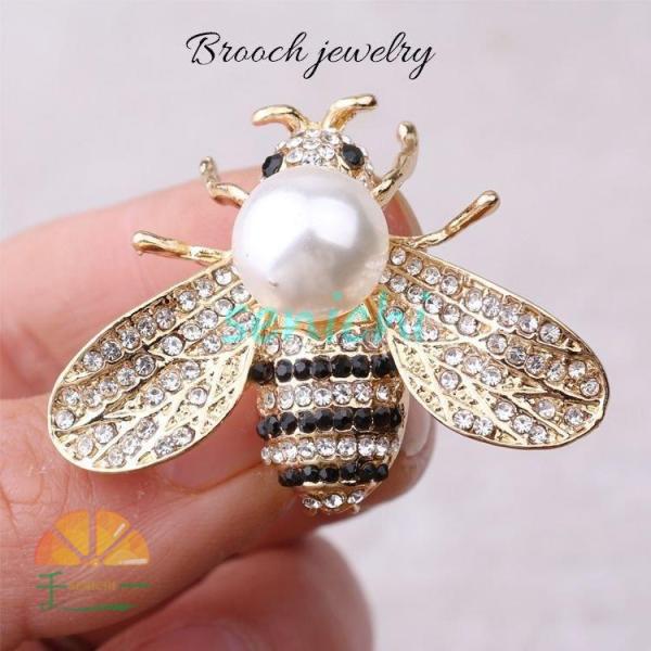 senichi_sic0822-xz237