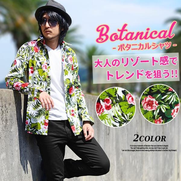 spruce-vasin_buj-0023