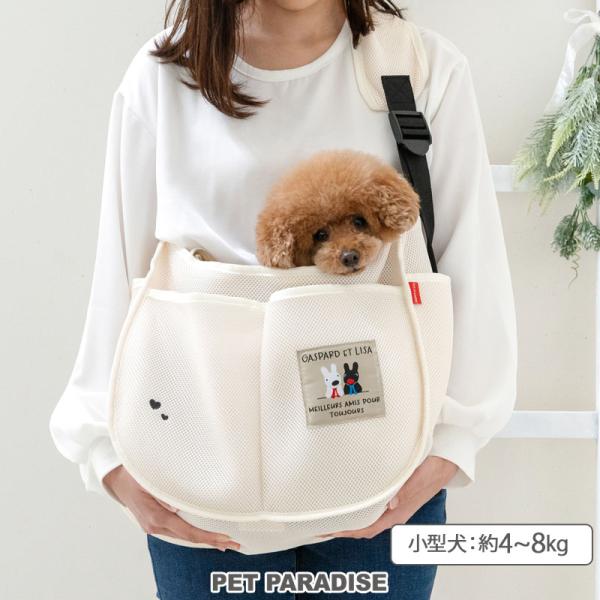 PET PARADISE（ペットパラダイス） リサとガスパール 犬 キャリー