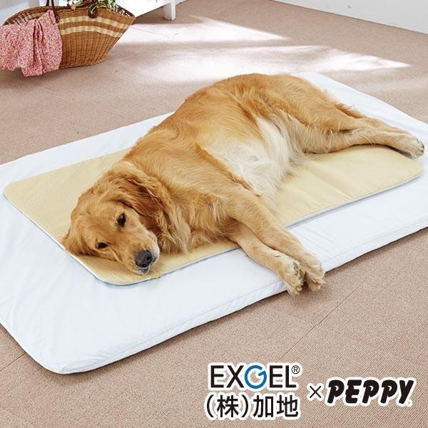 PEPPY（ペピイ） 老犬 シニア エクスジェルマット Mサイズ 介護用品
