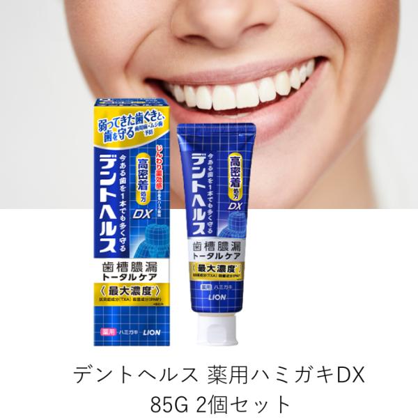 デントヘルス ライオン 薬用ハミガキDX 85g 2個セット 歯磨き粉