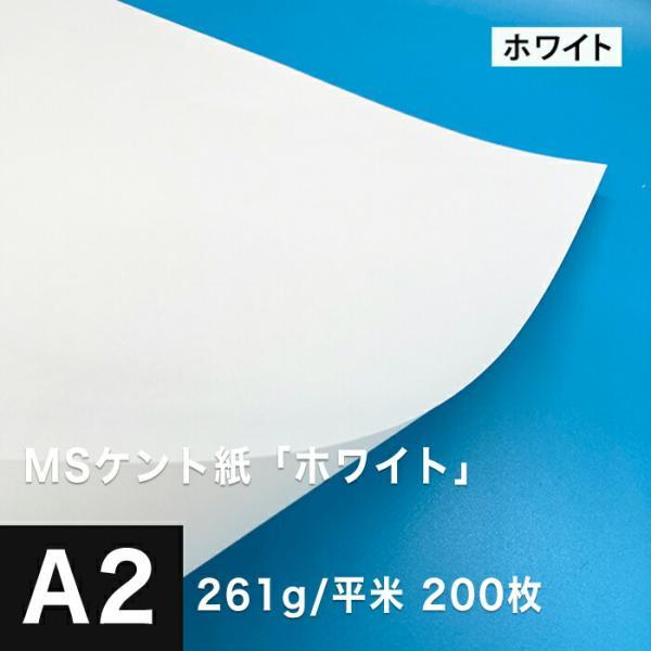 ケント紙 a2 MSケント紙 ホワイト 261g/平米 A2サイズ：200枚 画用紙