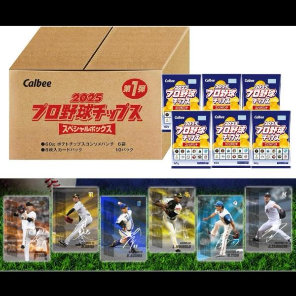 ri-ga-camp_potechi2025-0814