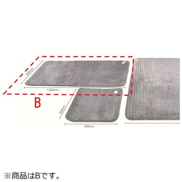 DENBAJAPAN DENBA Health スタンダード・Charge用 マット B Type DANBA