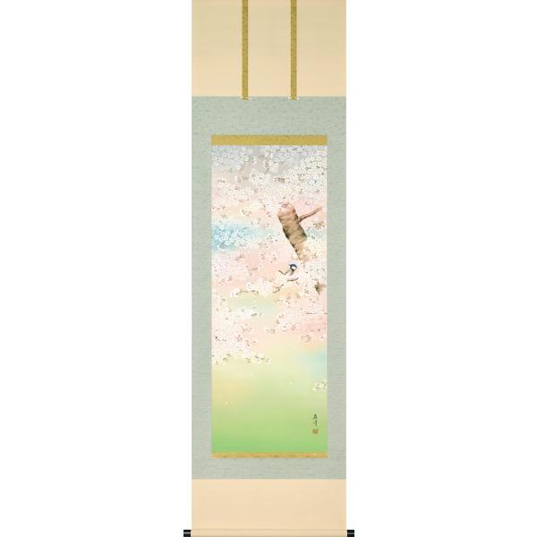 掛軸 (掛け軸) 春用 桜花爛漫 富岡蘇峰 尺五立 約横54.5cm×縦190cm